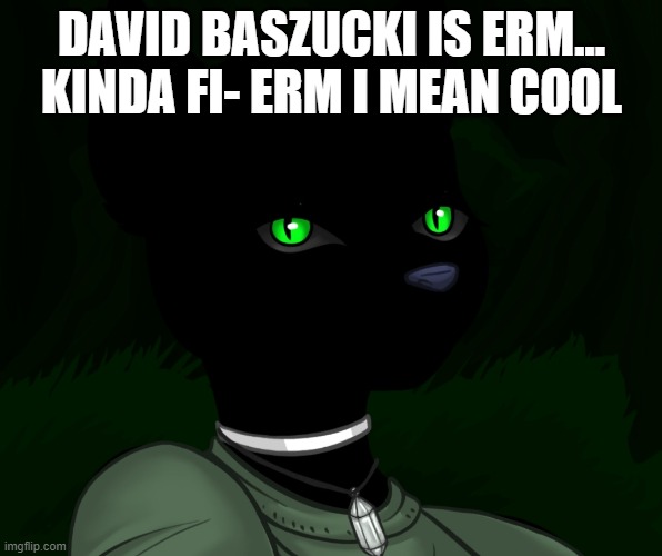 My new panther fursona | DAVID BASZUCKI IS ERM... KINDA FI- ERM I MEAN COOL | image tagged in my new panther fursona | made w/ Imgflip meme maker