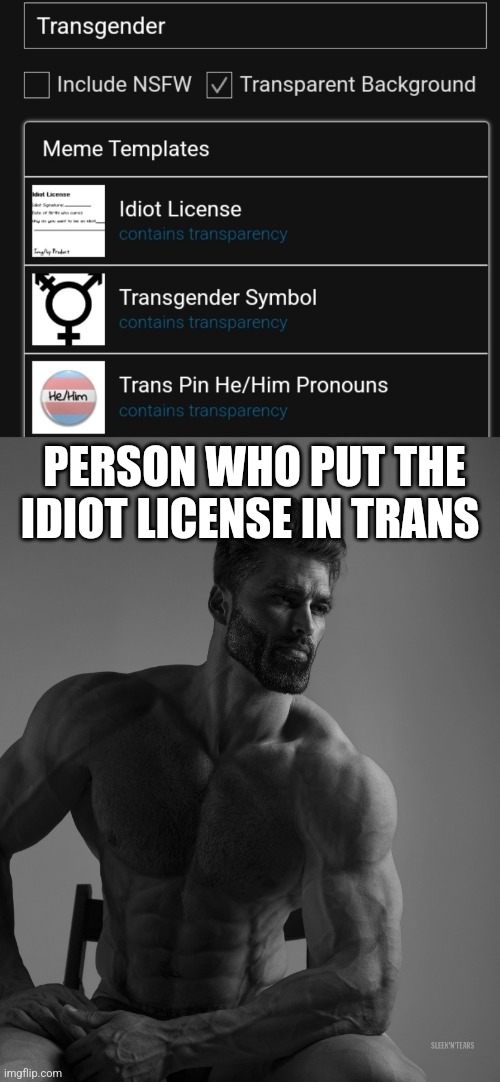 PERSON WHO PUT THE IDIOT LICENSE IN TRANS | image tagged in giga chad | made w/ Imgflip meme maker