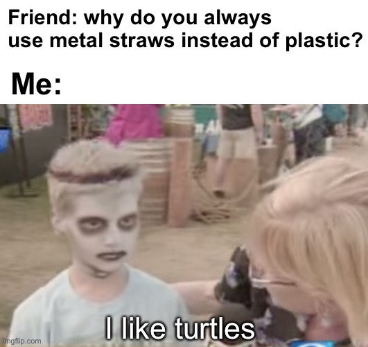 I like turtles | Friend: why do you always use metal straws instead of plastic? Me:; I like turtles | image tagged in i like turtles,memes,unfunny | made w/ Imgflip meme maker