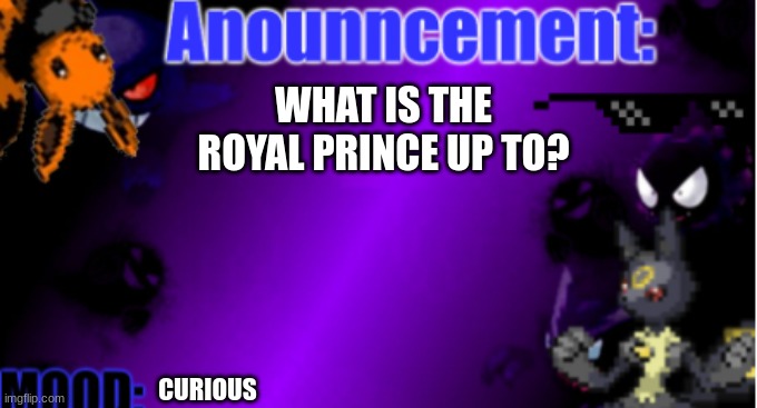 announcement | WHAT IS THE ROYAL PRINCE UP TO? CURIOUS | image tagged in announcemnt 2 2 | made w/ Imgflip meme maker