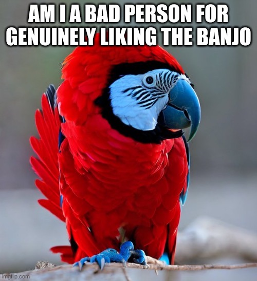 among us parrot | AM I A BAD PERSON FOR GENUINELY LIKING THE BANJO | image tagged in among us parrot | made w/ Imgflip meme maker