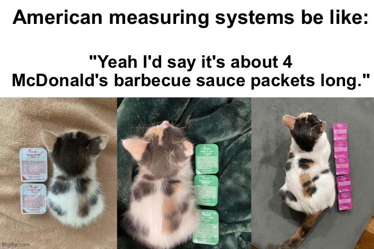 America amiright | American measuring systems be like:; "Yeah I'd say it's about 4 McDonald's barbecue sauce packets long." | image tagged in memes,unfunny | made w/ Imgflip meme maker