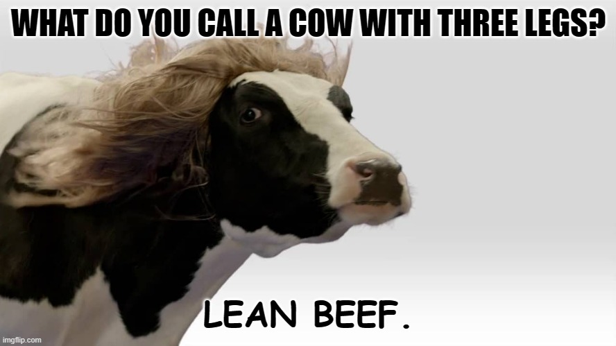 Daily Bad Dad Joke | WHAT DO YOU CALL A COW WITH THREE LEGS? LEAN BEEF. | image tagged in fabio cow | made w/ Imgflip meme maker