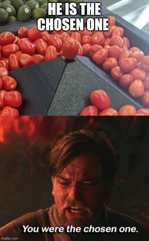 He was supposed to join the tomatoes!! | image tagged in obi wan kenobi | made w/ Imgflip meme maker