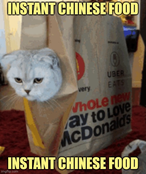 No this is not ok | INSTANT CHINESE FOOD; INSTANT CHINESE FOOD | image tagged in this is not okie dokie,instant,chinese food,stop it get some help | made w/ Imgflip meme maker