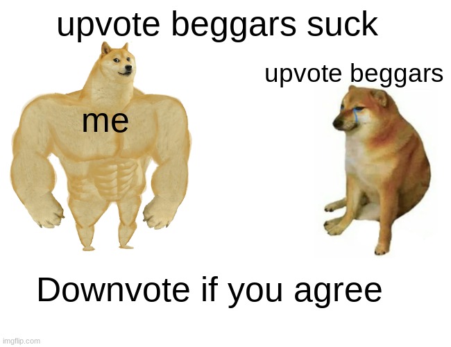 Downvote if you agree | upvote beggars suck; upvote beggars; me; Downvote if you agree | image tagged in memes,buff doge vs cheems | made w/ Imgflip meme maker