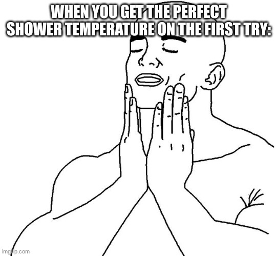 perfect | WHEN YOU GET THE PERFECT SHOWER TEMPERATURE ON THE FIRST TRY: | image tagged in satisfaction,shower | made w/ Imgflip meme maker