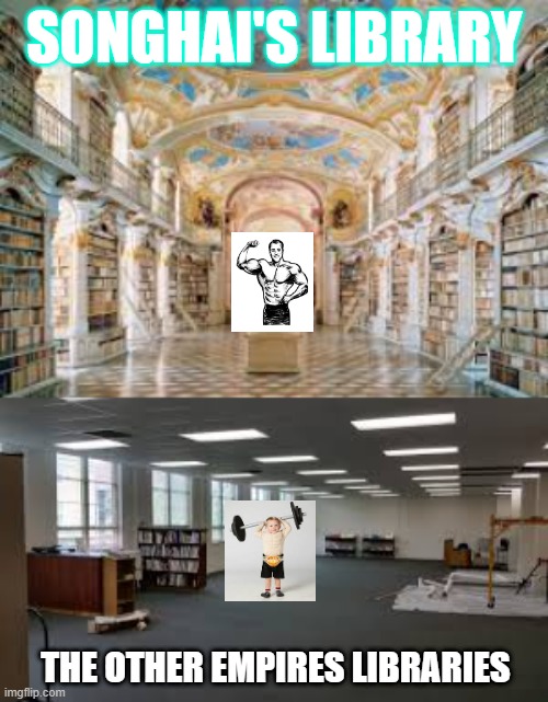Songhai Education |  SONGHAI'S LIBRARY; THE OTHER EMPIRES LIBRARIES | image tagged in books,so much books,library,strong,empire | made w/ Imgflip meme maker