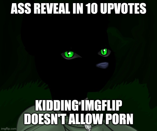 My new panther fursona | ASS REVEAL IN 10 UPVOTES; KIDDING IMGFLIP DOESN'T ALLOW PORN | image tagged in my new panther fursona | made w/ Imgflip meme maker