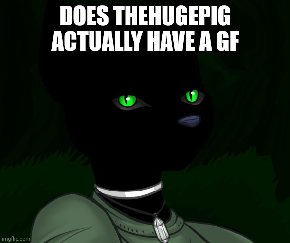 My new panther fursona | DOES THEHUGEPIG ACTUALLY HAVE A GF | image tagged in my new panther fursona | made w/ Imgflip meme maker