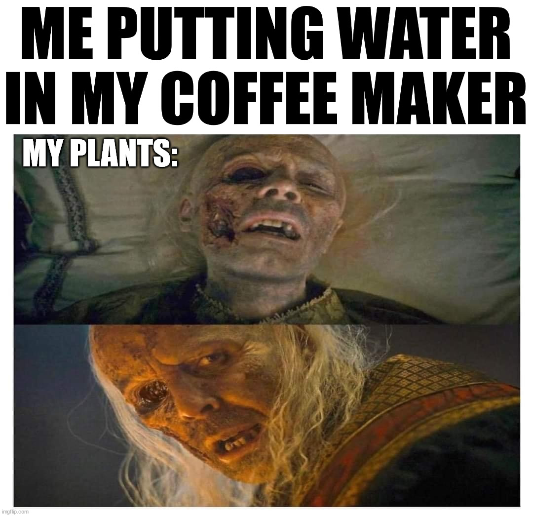 ME PUTTING WATER IN MY COFFEE MAKER; MY PLANTS: | image tagged in water | made w/ Imgflip meme maker