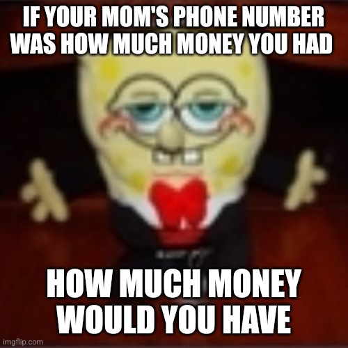 idk.jpg | IF YOUR MOM'S PHONE NUMBER WAS HOW MUCH MONEY YOU HAD; HOW MUCH MONEY WOULD YOU HAVE | image tagged in idk jpg | made w/ Imgflip meme maker