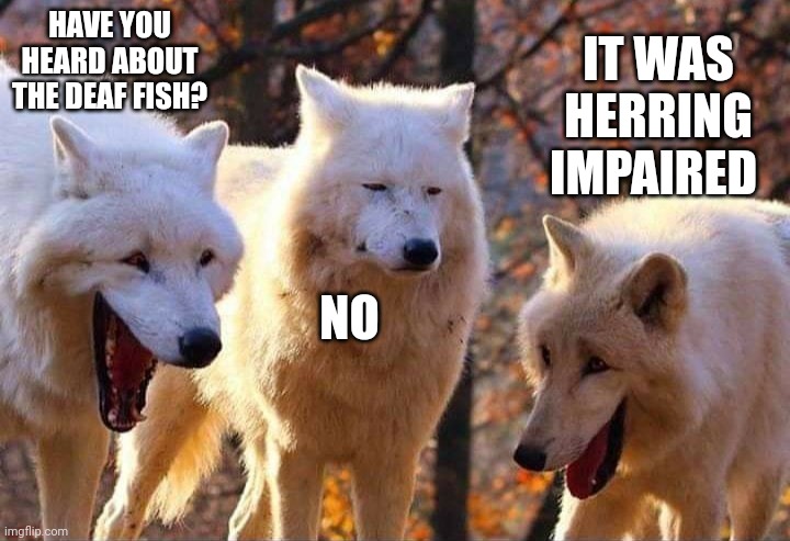 Laughing wolf | HAVE YOU HEARD ABOUT THE DEAF FISH? IT WAS HERRING IMPAIRED; NO | image tagged in laughing wolf | made w/ Imgflip meme maker