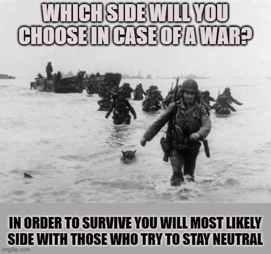 This #lolcat knows which side you will choose in a war | WHICH SIDE WILL YOU CHOOSE IN CASE OF A WAR? IN ORDER TO SURVIVE YOU WILL MOST LIKELY
SIDE WITH THOSE WHO TRY TO STAY NEUTRAL | image tagged in lolcat,think about it,world war 2,normandy,resist | made w/ Imgflip meme maker