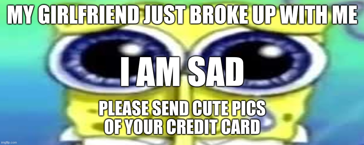 zad zponge | MY GIRLFRIEND JUST BROKE UP WITH ME; I AM SAD; PLEASE SEND CUTE PICS
OF YOUR CREDIT CARD | image tagged in sad spong | made w/ Imgflip meme maker