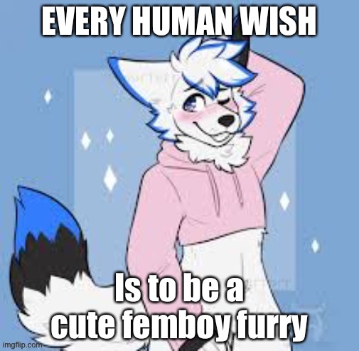 Femboy furry | EVERY HUMAN WISH; Is to be a cute femboy furry | image tagged in femboy furry | made w/ Imgflip meme maker