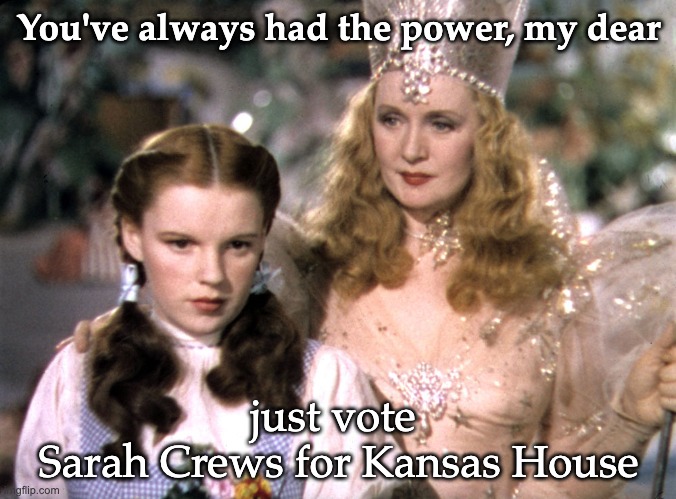 Dorothy and Glinda (Wizard of Oz) | You've always had the power, my dear; just vote 
Sarah Crews for Kansas House | image tagged in dorothy and glinda wizard of oz | made w/ Imgflip meme maker