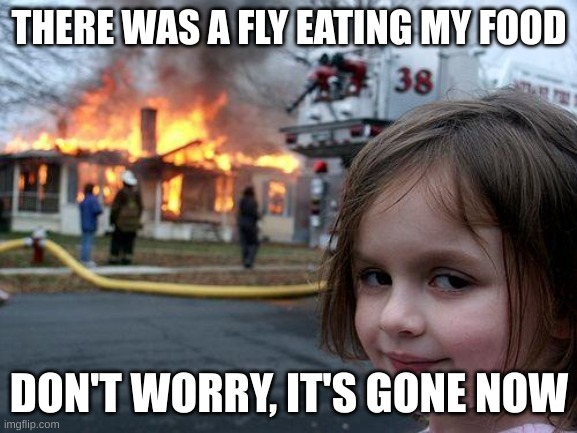 fly gone now | THERE WAS A FLY EATING MY FOOD; DON'T WORRY, IT'S GONE NOW | image tagged in memes,disaster girl | made w/ Imgflip meme maker