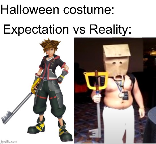 KH Expectation Reality meme | image tagged in kingdom hearts,expectation vs reality,meme | made w/ Imgflip meme maker