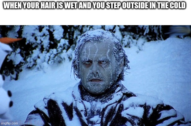 Freezing cold | WHEN YOUR HAIR IS WET AND YOU STEP OUTSIDE IN THE COLD | image tagged in freezing cold | made w/ Imgflip meme maker