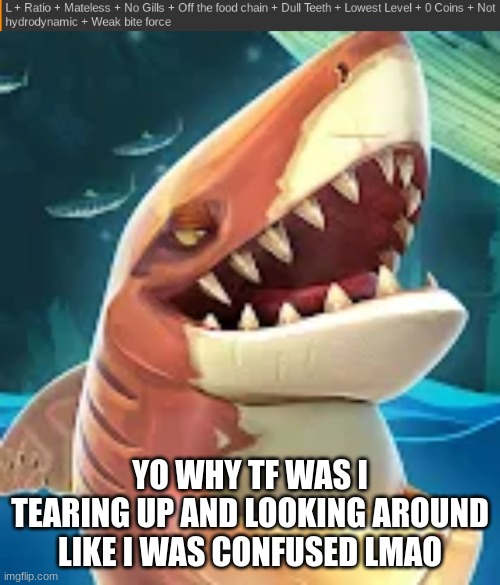 Tiger Shark L + Ratio | YO WHY TF WAS I TEARING UP AND LOOKING AROUND LIKE I WAS CONFUSED LMAO | image tagged in tiger shark l ratio | made w/ Imgflip meme maker