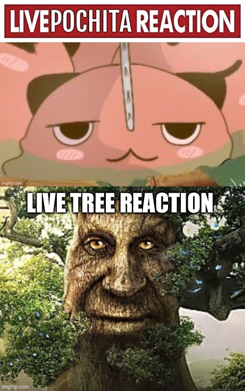 LIVE TREE REACTION | image tagged in must-play tree,memes | made w/ Imgflip meme maker