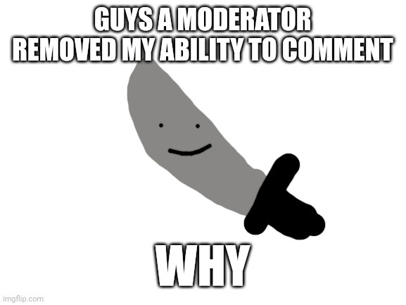 Whyyy | GUYS A MODERATOR REMOVED MY ABILITY TO COMMENT; WHY | image tagged in knifeboi | made w/ Imgflip meme maker