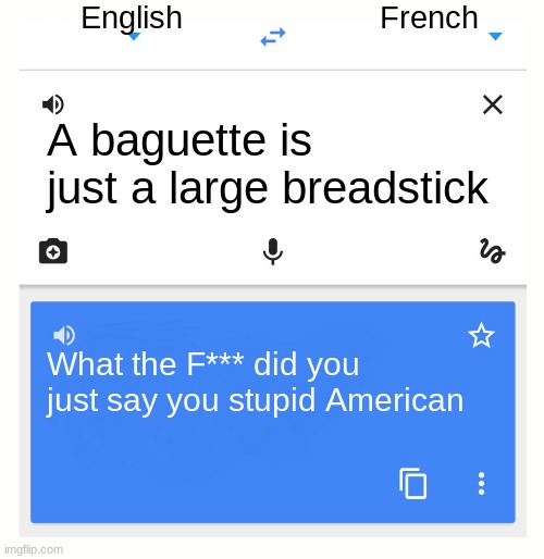 Google Translate | English; French; A baguette is just a large breadstick; What the F*** did you just say you stupid American | image tagged in google translate | made w/ Imgflip meme maker