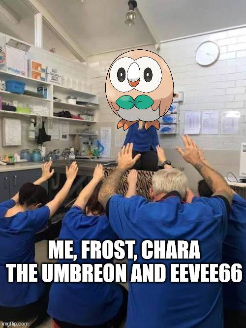 People Worshipping The Cat | ME, FROST, CHARA THE UMBREON AND EEVEE66 | image tagged in people worshipping the cat | made w/ Imgflip meme maker