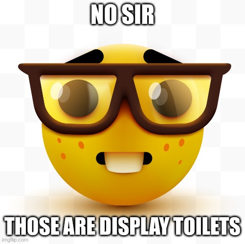 Nerd emoji | NO SIR THOSE ARE DISPLAY TOILETS | image tagged in nerd emoji | made w/ Imgflip meme maker