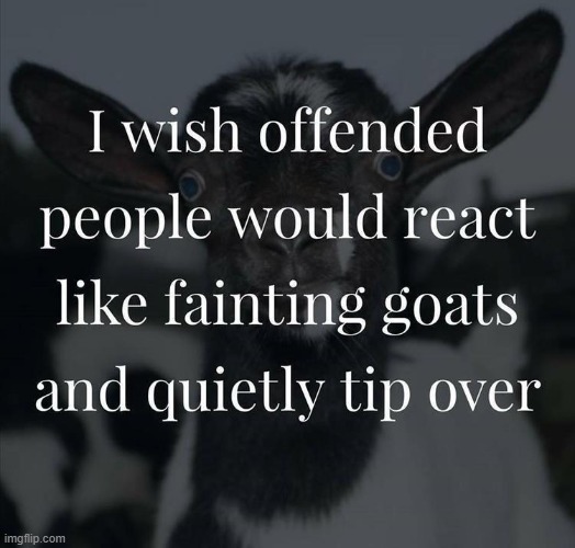 offended | image tagged in offended | made w/ Imgflip meme maker
