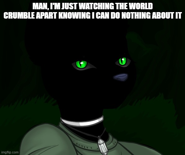 My new panther fursona | MAN, I'M JUST WATCHING THE WORLD CRUMBLE APART KNOWING I CAN DO NOTHING ABOUT IT | image tagged in my new panther fursona | made w/ Imgflip meme maker