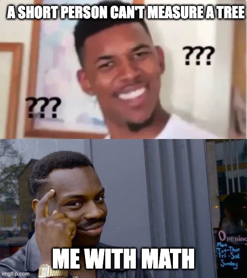A SHORT PERSON CAN'T MEASURE A TREE; ME WITH MATH | image tagged in memes,roll safe think about it | made w/ Imgflip meme maker