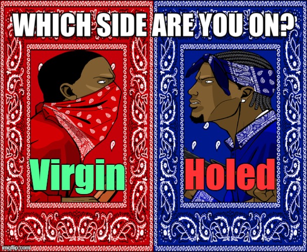 WHICH SIDE ARE YOU ON? | Holed Virgin | image tagged in which side are you on | made w/ Imgflip meme maker