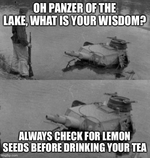 another panzer of the lake meme cuz why not | OH PANZER OF THE LAKE, WHAT IS YOUR WISDOM? ALWAYS CHECK FOR LEMON SEEDS BEFORE DRINKING YOUR TEA | image tagged in funny | made w/ Imgflip meme maker