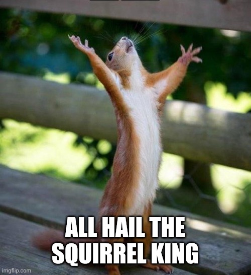 All Hail | ALL HAIL THE SQUIRREL KING | image tagged in all hail | made w/ Imgflip meme maker