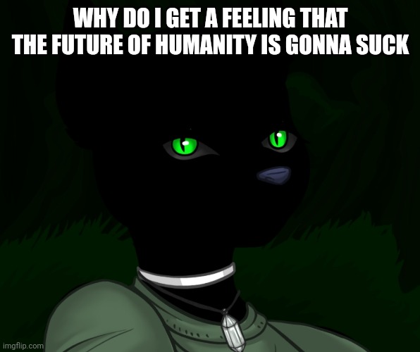My new panther fursona | WHY DO I GET A FEELING THAT THE FUTURE OF HUMANITY IS GONNA SUCK | image tagged in my new panther fursona | made w/ Imgflip meme maker