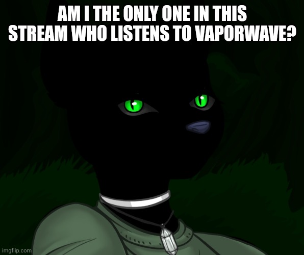 My new panther fursona | AM I THE ONLY ONE IN THIS STREAM WHO LISTENS TO VAPORWAVE? | image tagged in my new panther fursona | made w/ Imgflip meme maker