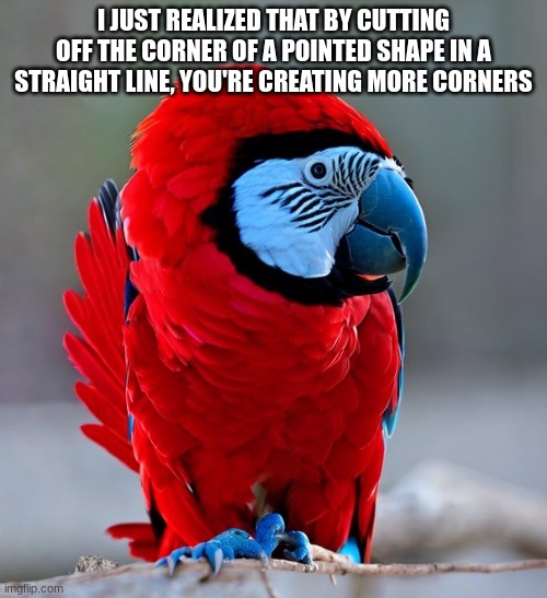 among us parrot | I JUST REALIZED THAT BY CUTTING OFF THE CORNER OF A POINTED SHAPE IN A STRAIGHT LINE, YOU'RE CREATING MORE CORNERS | image tagged in among us parrot | made w/ Imgflip meme maker