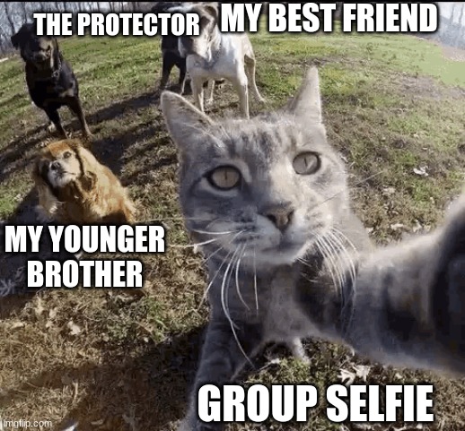 Group Selfie | THE PROTECTOR; MY BEST FRIEND; MY YOUNGER BROTHER; GROUP SELFIE | image tagged in group,selfie,dogs,cats | made w/ Imgflip meme maker