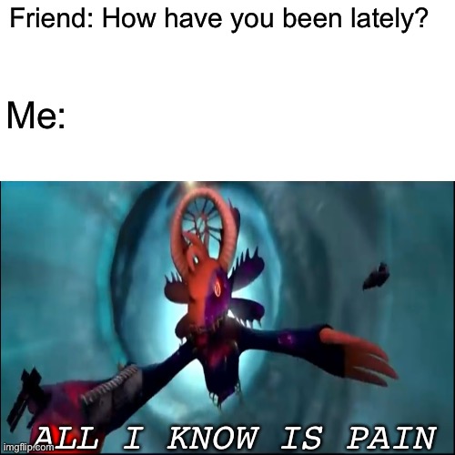 All I know is pain | Friend: How have you been lately? Me:; ALL I KNOW IS PAIN | image tagged in funny,memes | made w/ Imgflip meme maker