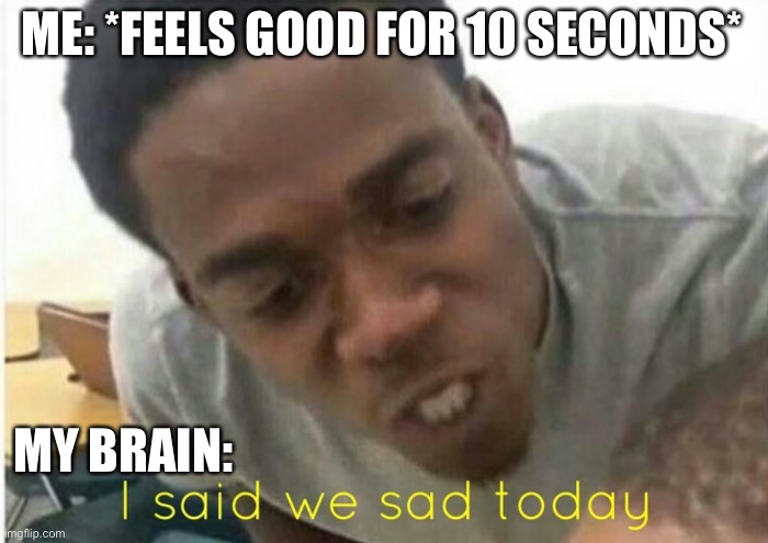 Everyday I wake up | ME: *FEELS GOOD FOR 10 SECONDS*; MY BRAIN: | image tagged in i said we ____ today | made w/ Imgflip meme maker