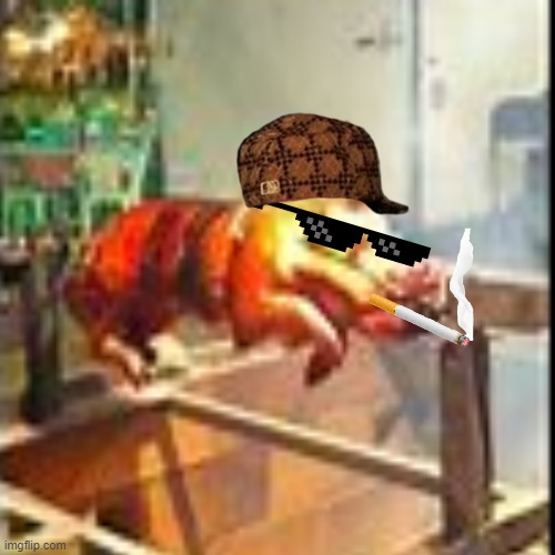 pig | image tagged in pig | made w/ Imgflip meme maker