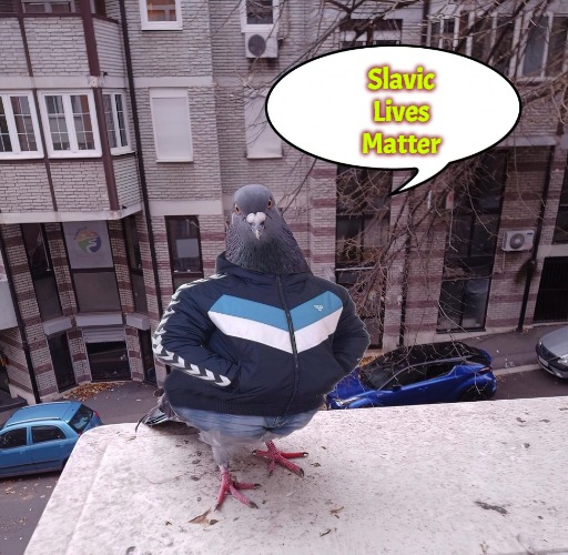 pigeon slavic pigeon | Slavic
Lives
Matter | image tagged in pigeon slavic pigeon,slavic | made w/ Imgflip meme maker