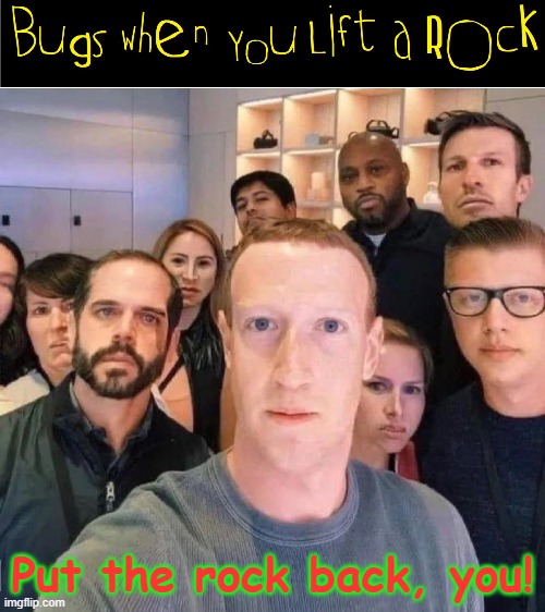 We are the World. We're in Your Garden. We are the ones who make a brighter day, so leave us alone | Put the rock back, you! | image tagged in vince vance,mark zuckerberg,facebook,bugs,under a rock,memes | made w/ Imgflip meme maker