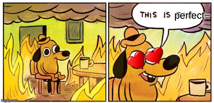 Bubonic: | perfect~ | image tagged in memes,this is fine | made w/ Imgflip meme maker