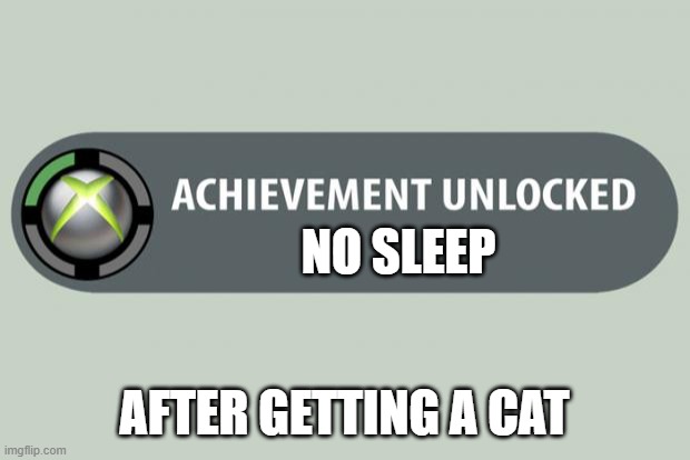 achievement unlocked | NO SLEEP; AFTER GETTING A CAT | image tagged in achievement unlocked | made w/ Imgflip meme maker