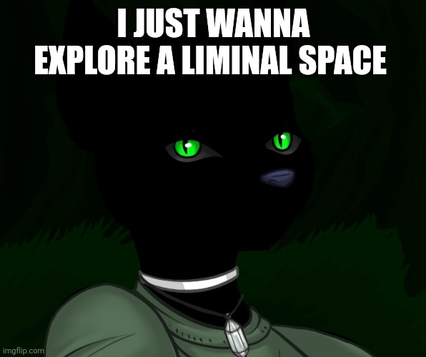 My new panther fursona | I JUST WANNA EXPLORE A LIMINAL SPACE | image tagged in my new panther fursona | made w/ Imgflip meme maker