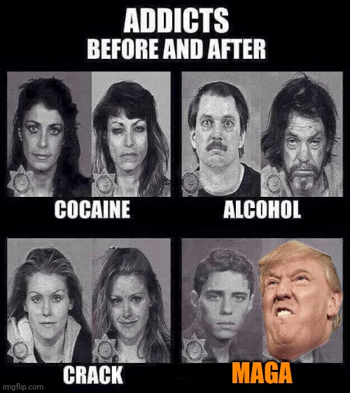MAGA users | MAGA | image tagged in addicts before and after,donald trump,maga,political meme,brandon | made w/ Imgflip meme maker