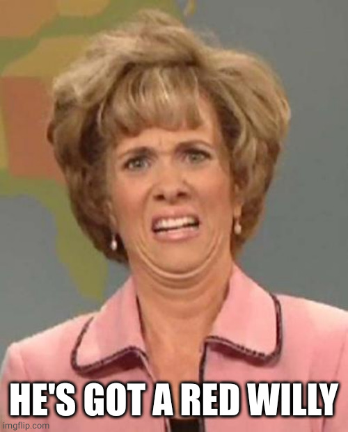 Disgusted Kristin Wiig | HE'S GOT A RED WILLY | image tagged in disgusted kristin wiig | made w/ Imgflip meme maker